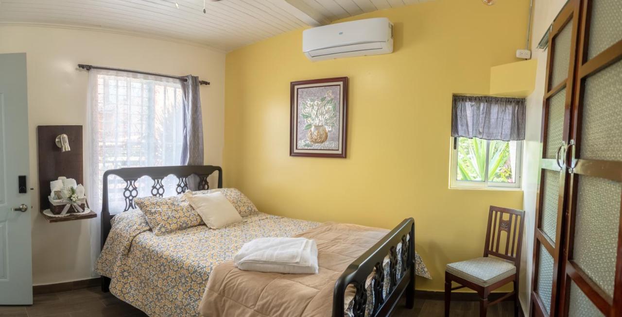 Alice Y Juancito Boutique Hotel Alajuela ภายนอก รูปภาพ
